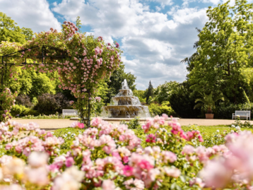 Wohnen in Forst Lausitz mit Haus in naturnaher Umgebung