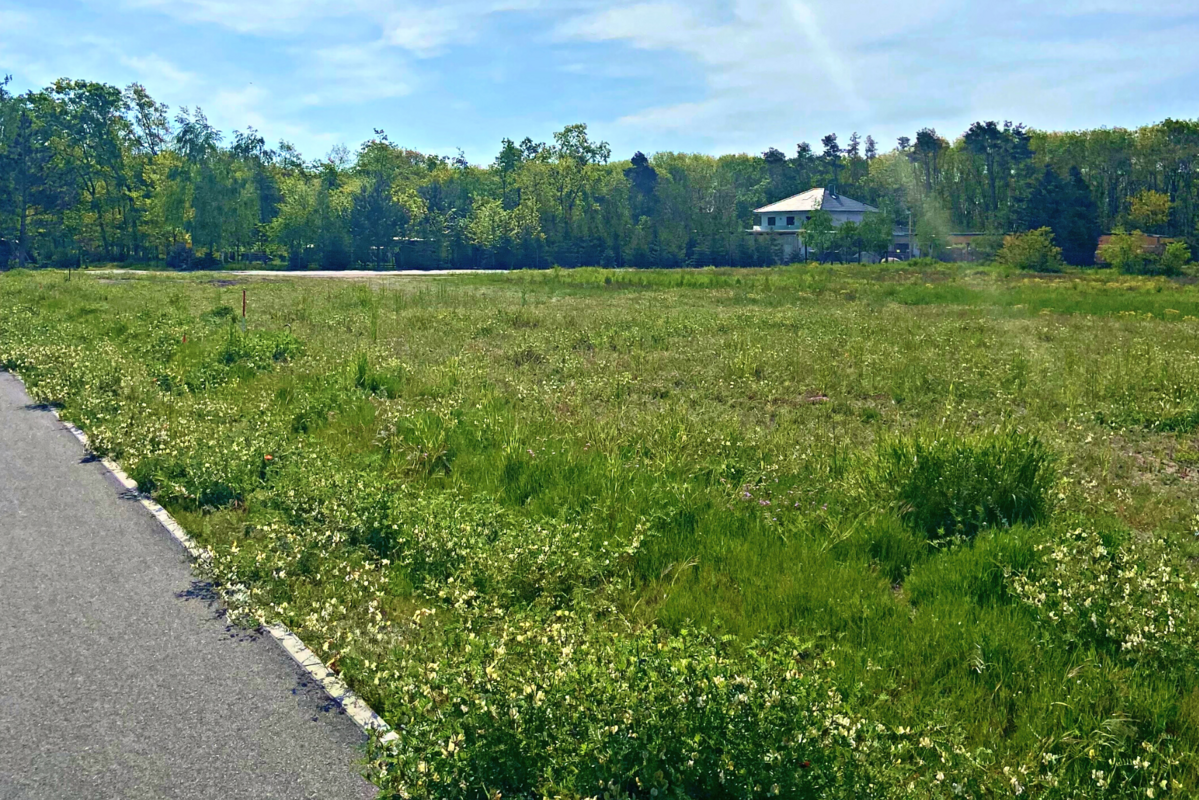 Hausbau mit Grundstück Tettau - mit dem Profi bauen in der Nähe von Dresden