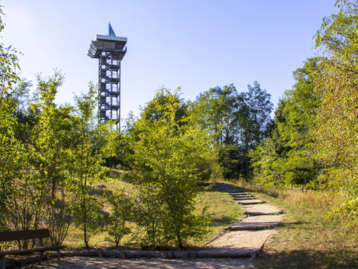 Wohnen in Schipkau im Lausitzer Seenland mit modernem Haus