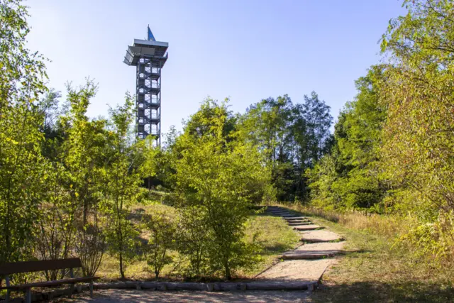 Ländliche Umgebung in Schipkau mit Natur und weitem Blick
