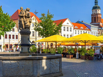 Wohnen in Cottbus mit modernem Haus in städtischer Lage