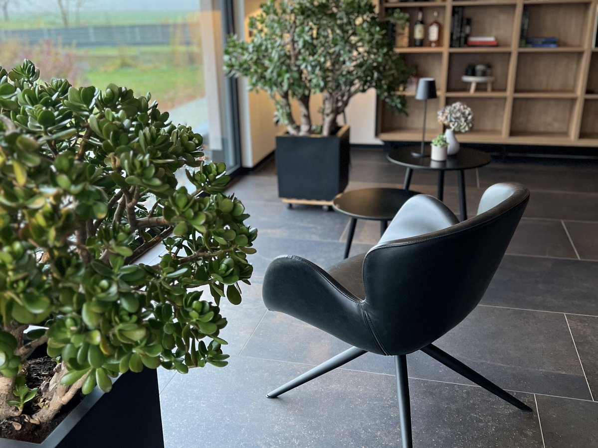 Hausbau Cottbus: Musterhaus Besichtigung und Beratung