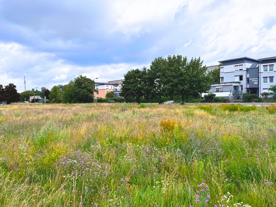 Baugrundstücke im Baugebiet Neue Kühnichter Heide in Hoyerswerda